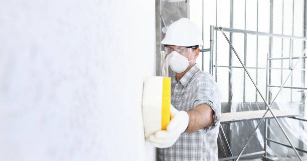 Environmental Consulting for Mold Prevention in Durham, CA